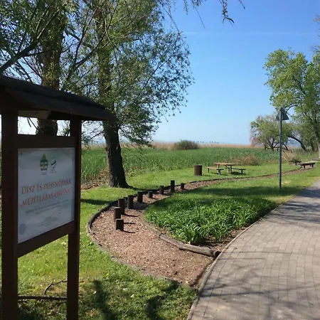 In - Balaton 44876
